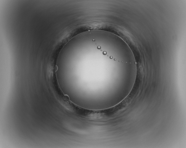 X0000116390499200912021542