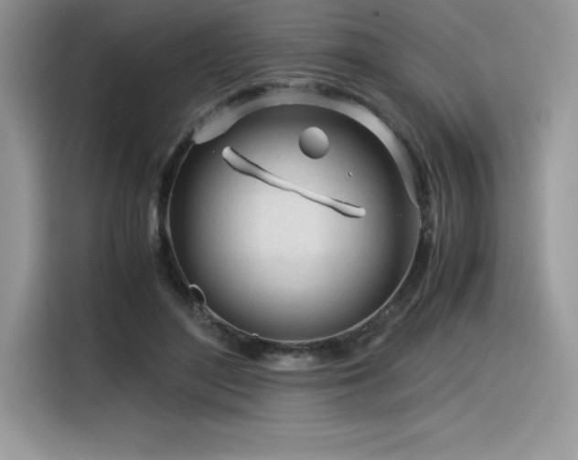 X0000116390500200912021542