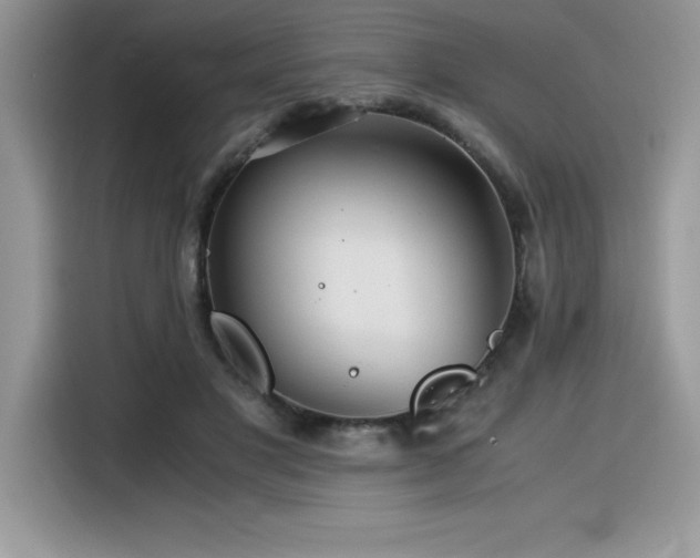 X0000116390501200912021542