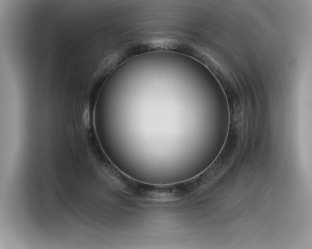 X0000116390502200912021542