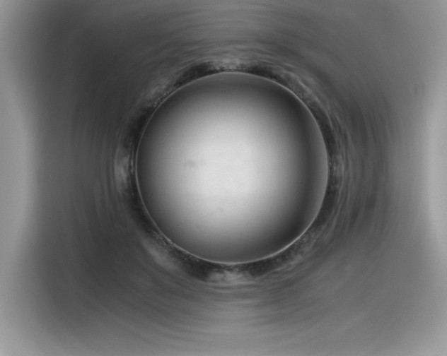 X0000116390503200912021542