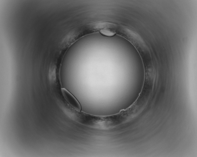 X0000116390504200912021542