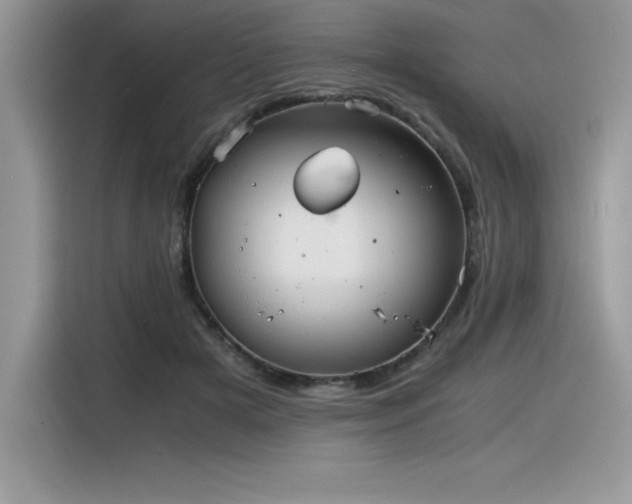 X0000116390505200912021542