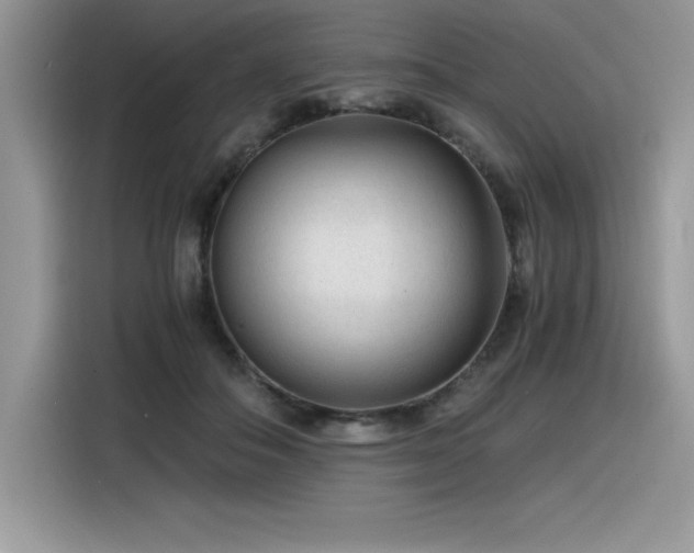 X0000116390506200912021542