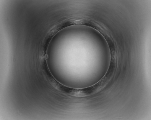 X0000116390507200912021542