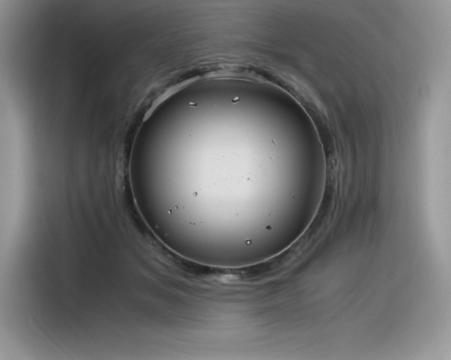 X0000116390509200912021542