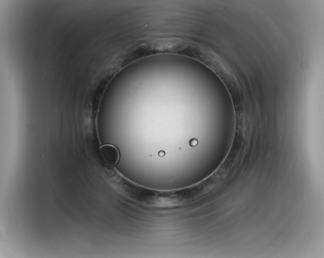 X0000116390510200912021542
