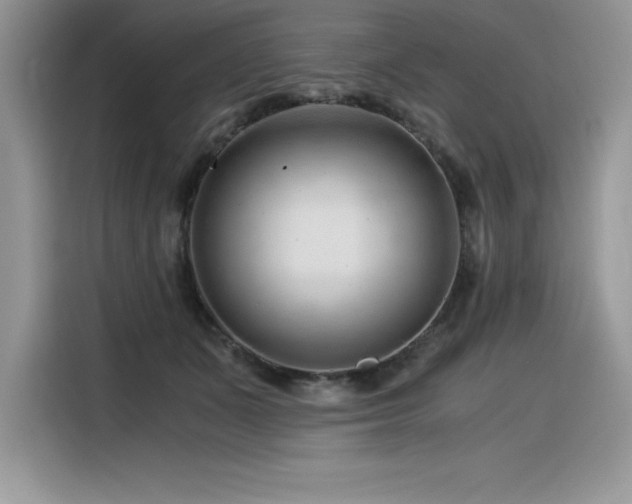 X0000116390511200912021542