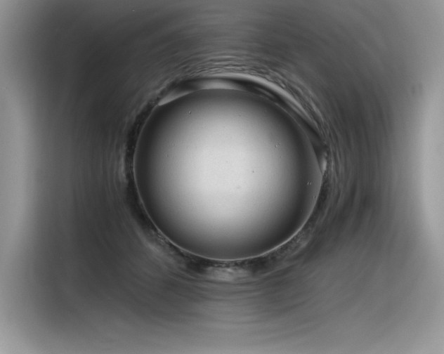 X0000116390512200912021542