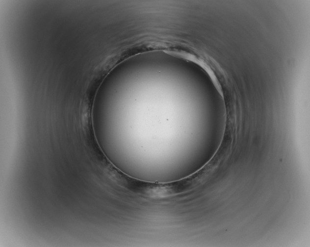 X0000116390513200912021542