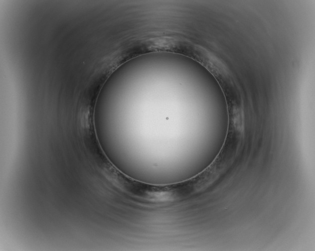 X0000116390514200912021542