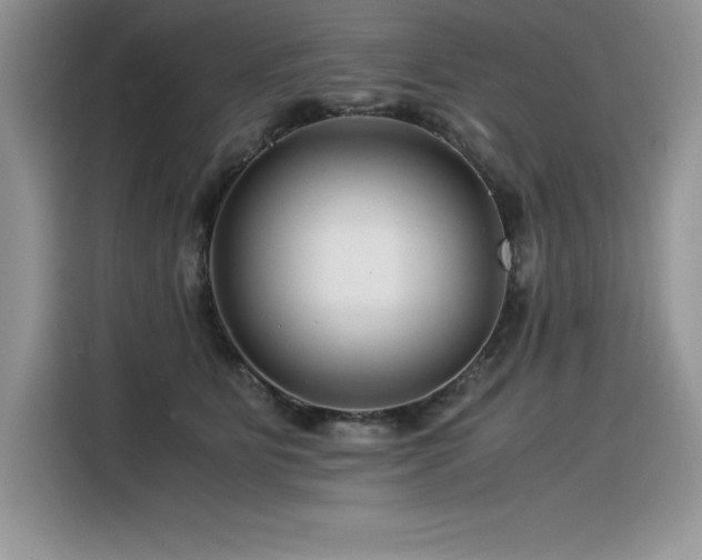 X0000116390515200912021542