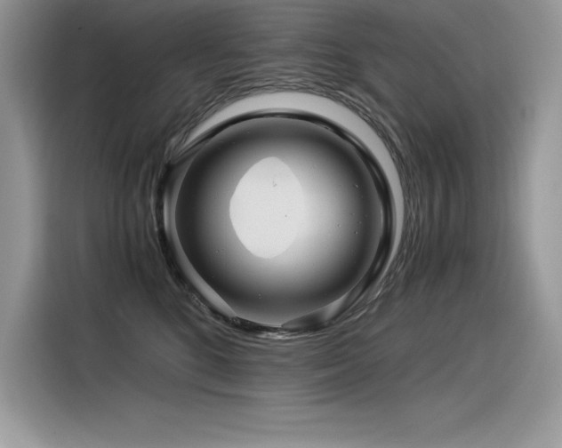 X0000116390520200912021542