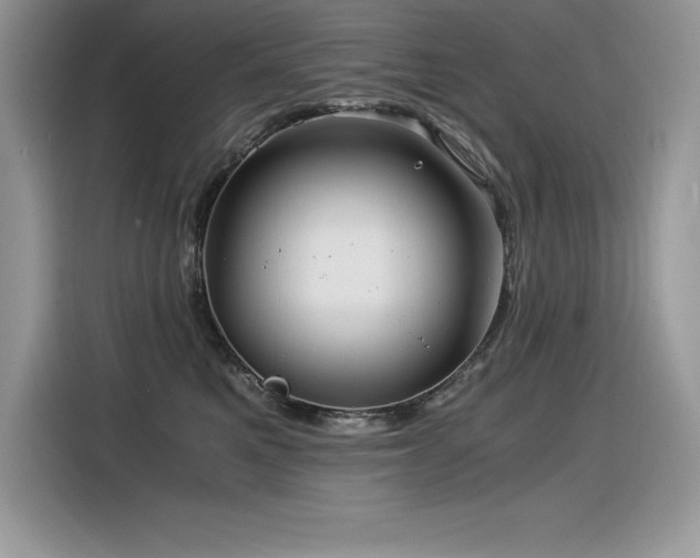 X0000116390521200912021542