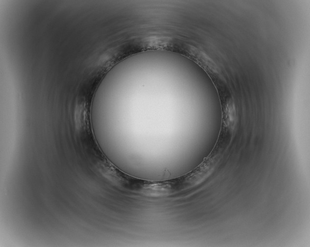 X0000116390522200912021542