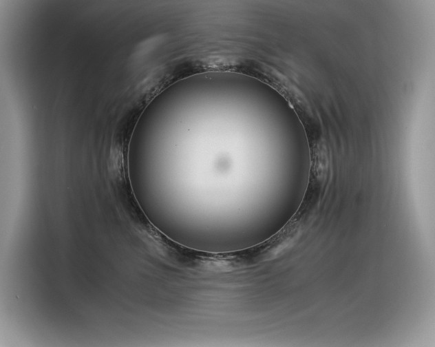 X0000116390523200912021542
