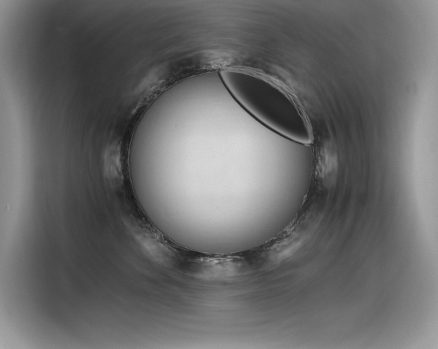X0000116390524200912021542