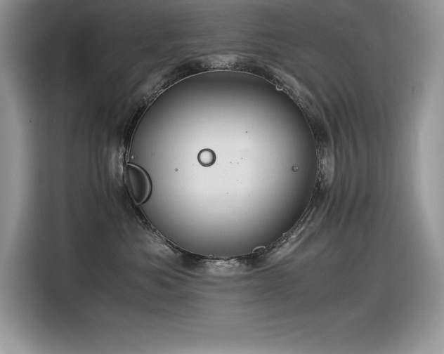 X0000116390525200912021542