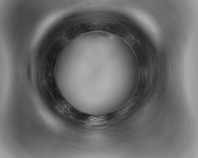 X0000116390526200912021542