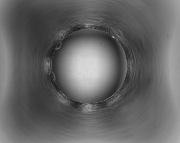 X0000116390527200912021542