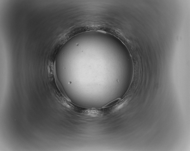 X0000116390528200912021542