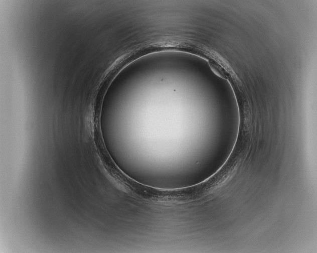 X0000116390530200912021541