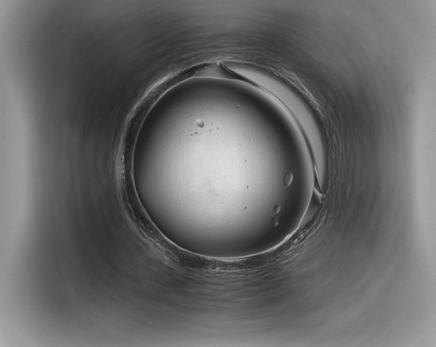 X0000116390531200912021541