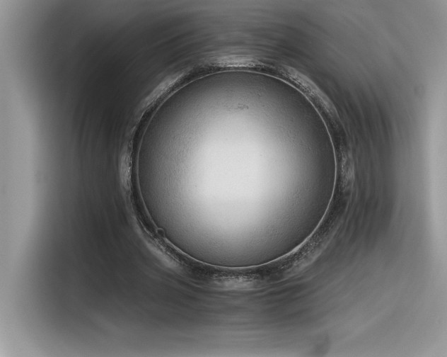 X0000116390533200912021541