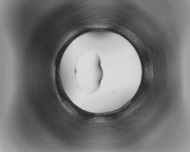 X0000116390534200912021541