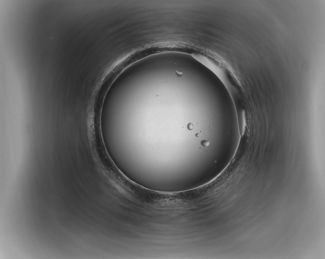 X0000116390535200912021541