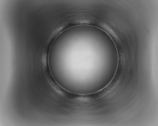 X0000116390537200912021541