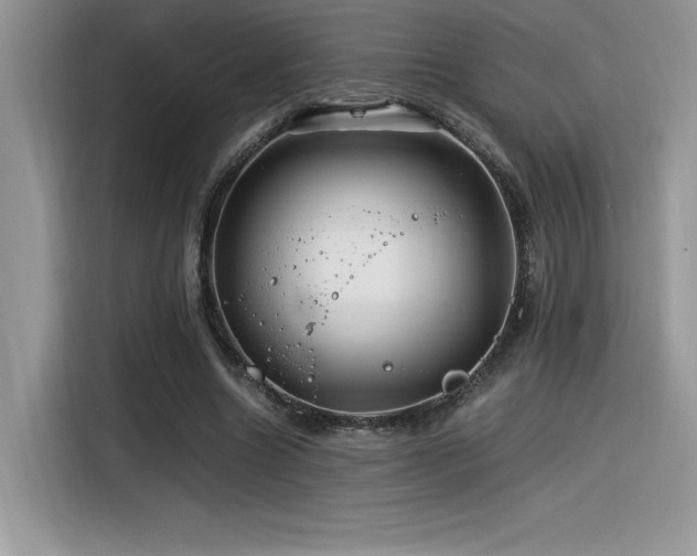 X0000116390538200912021541