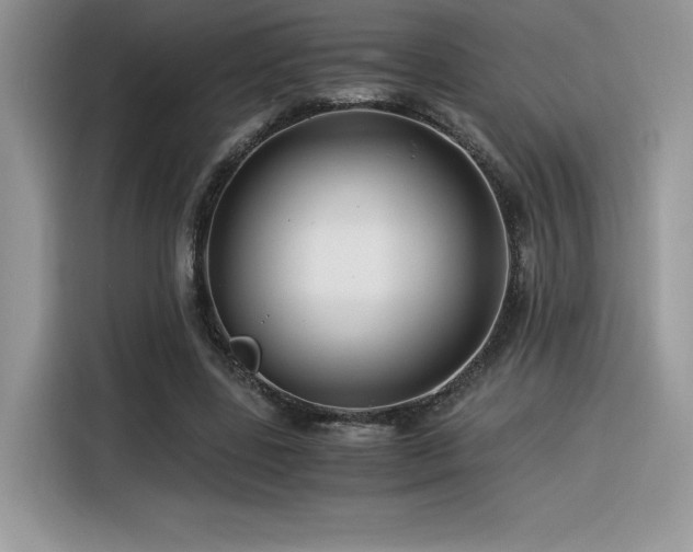 X0000116390539200912021541