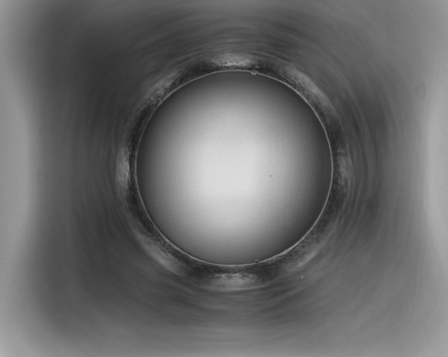 X0000116390541200912021541