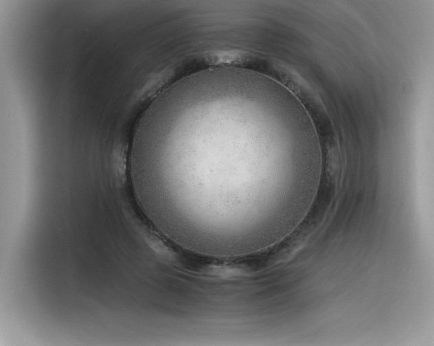 X0000116390545200912021542