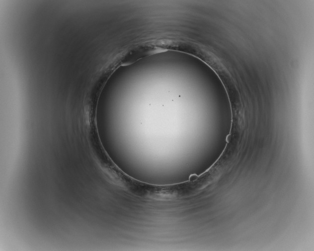 X0000116390546200912021542