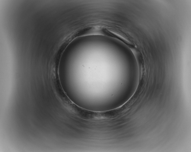 X0000116390547200912021542