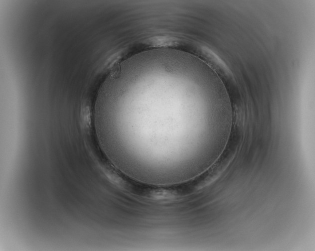 X0000116390549200912021542