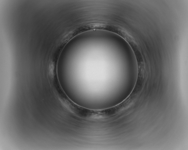 X0000116390550200912021542