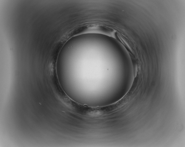 X0000116390551200912021542