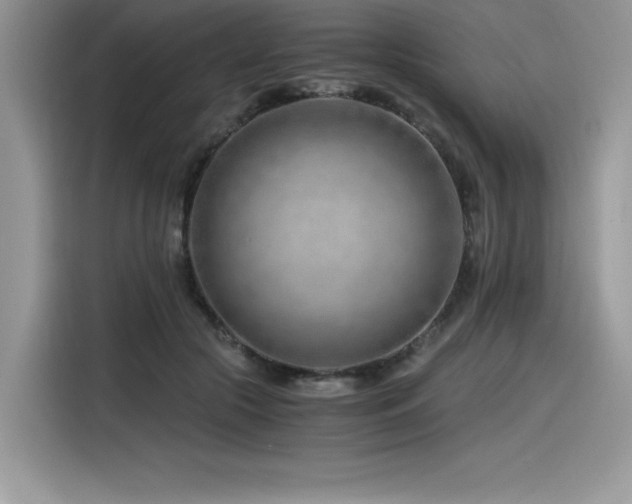 X0000116390553200912021542