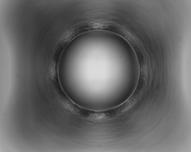X0000116390554200912021542