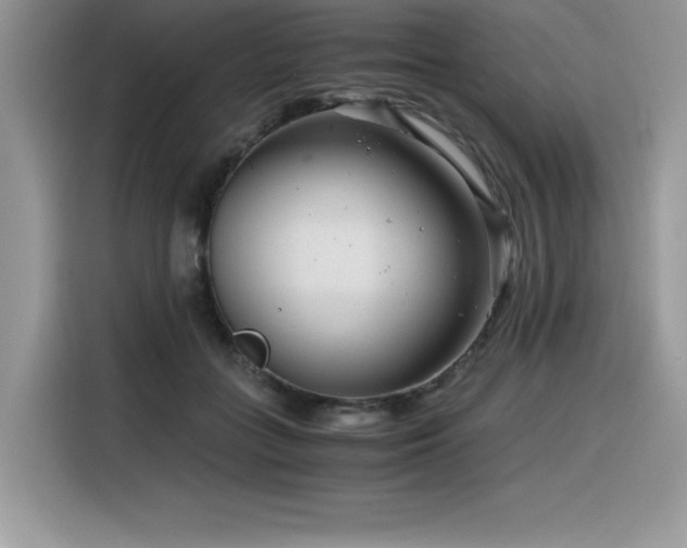 X0000116390555200912021542