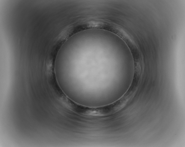 X0000116390557200912021542