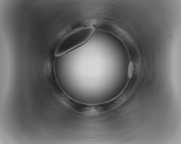 X0000116390558200912021542