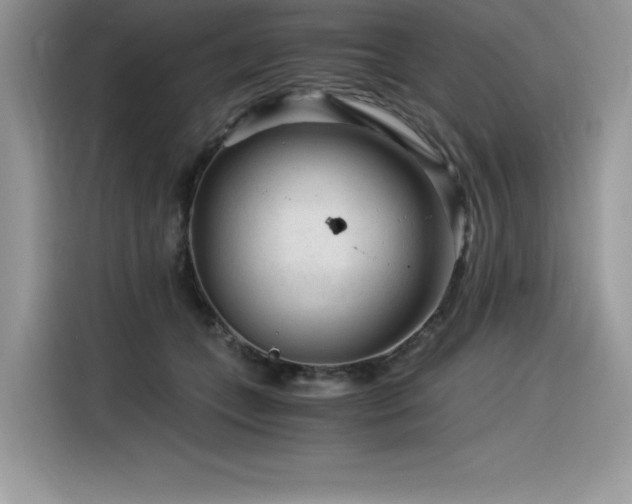 X0000116390559200912021542