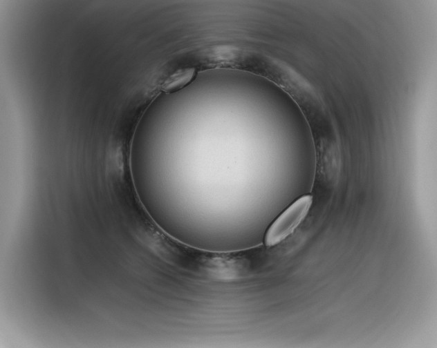 X0000116390562200912021542