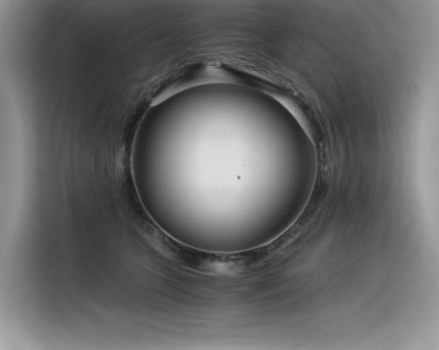 X0000116390563200912021542