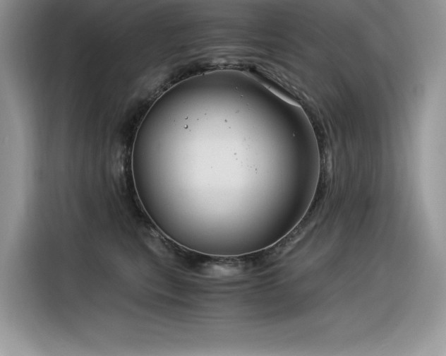 X0000116390567200912021542