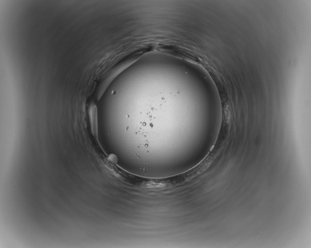X0000116390570200912021542